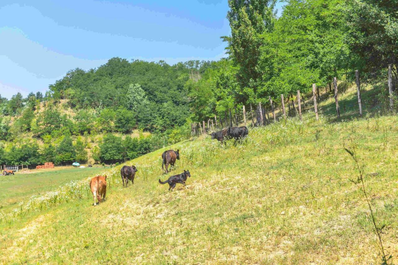 Cascina Lissona Villa Asti Exteriör bild